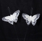 Preview: 36 Stück Schmetterling weiße Schmetterlinge aus Federn bemalt, 3 Schachtel x im 12er Set, Floristikbedarf Frühling/Sommer Gartenparty (WeissFeder), Hochzeitparty Schmetterling, Liebvolle